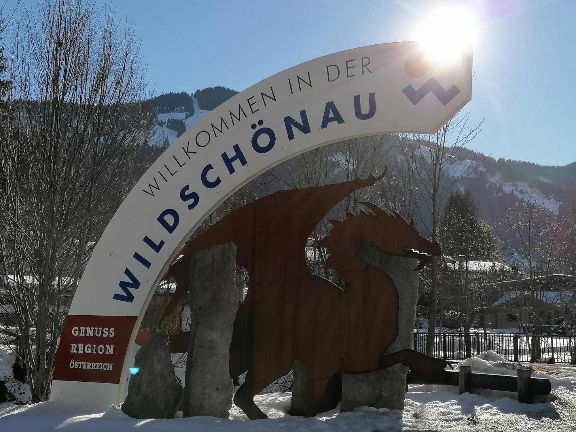 Loya Chalet Wild32 Oberau Exterior foto